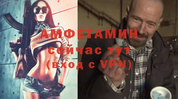 мдпв Вяземский